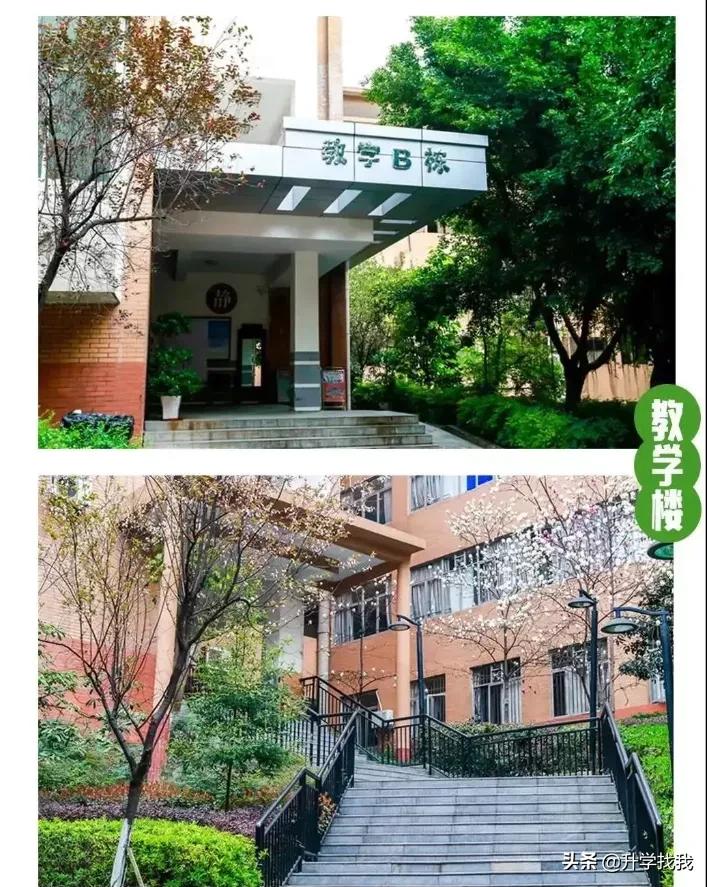 南开中学和南开融侨中学区别,融侨南开中学跟南开脱钩了吗