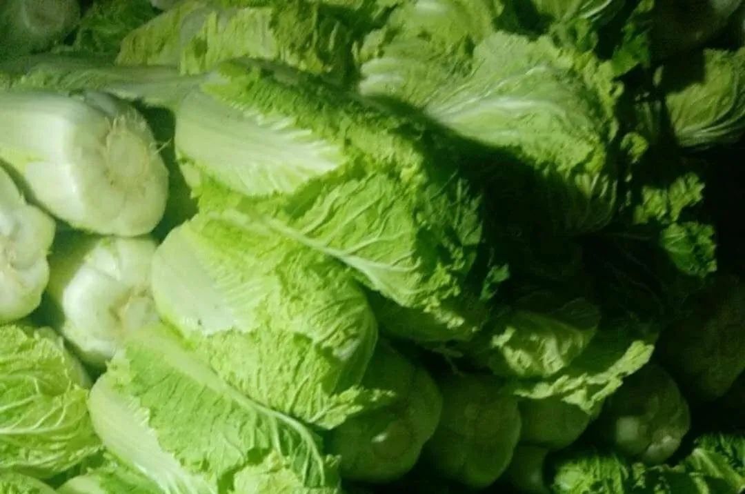 金锣肉制品招聘业务员,金锣肉制品有限公司招聘