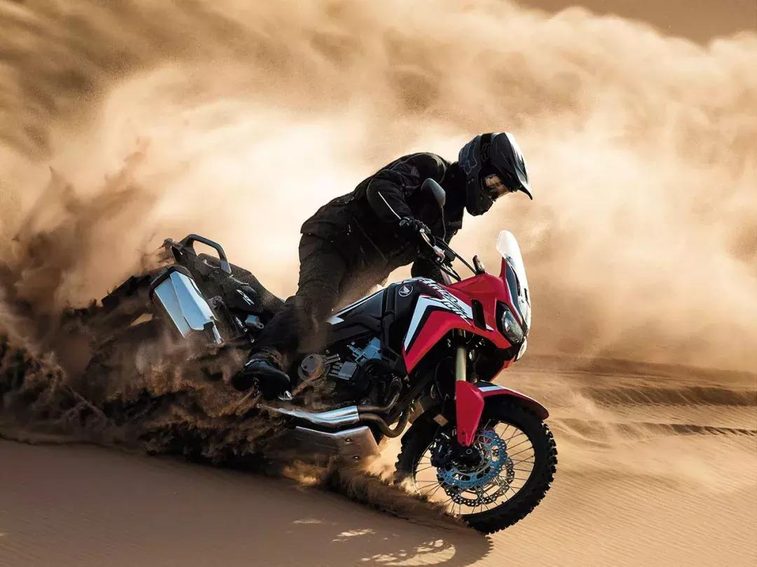 2019*口车进**型价格一览（上）