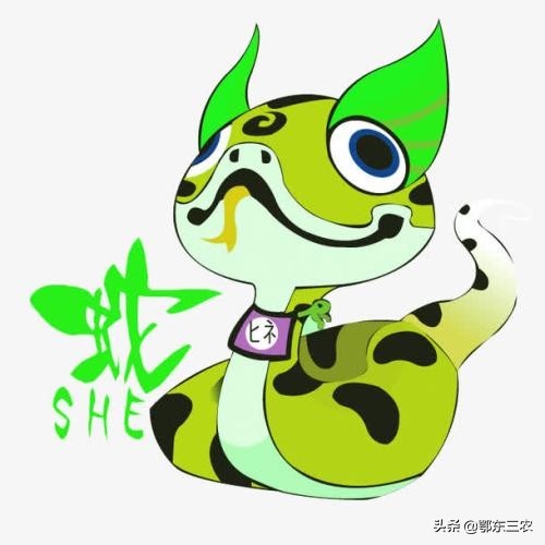 农村老人说,打蛇要打七寸,要么就打死,要么就不要打了