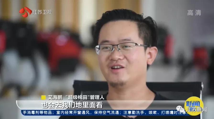 3亩地2个人种玉米需要多久,棉田种植方式