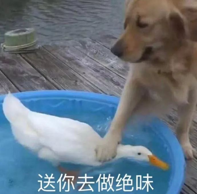 实体店和淘宝同款衣服,网店的衣服和实体店的有什么区别