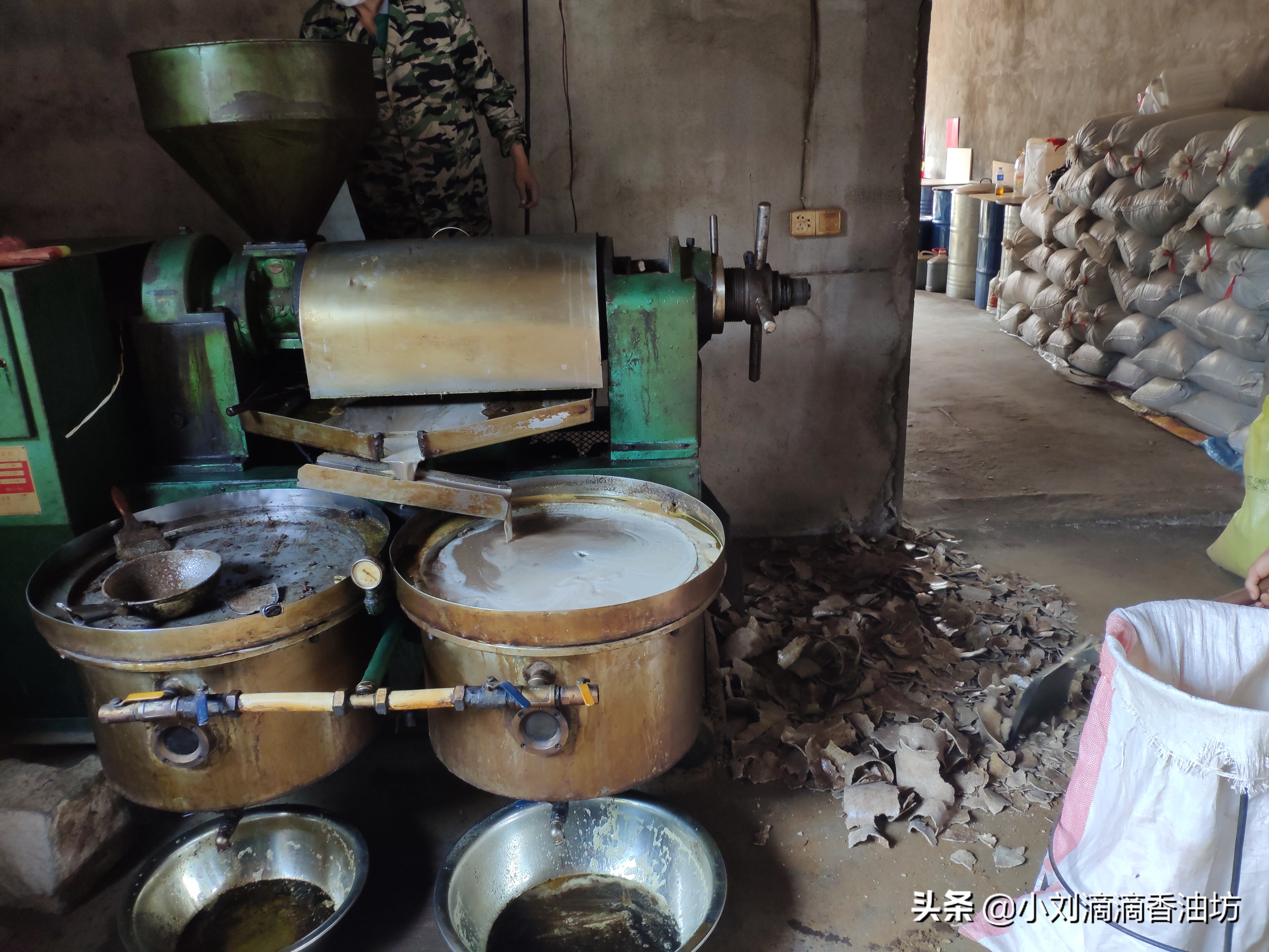 花生饼打窝钓鲫鱼效果怎么样,花生饼打窝钓鱼测试