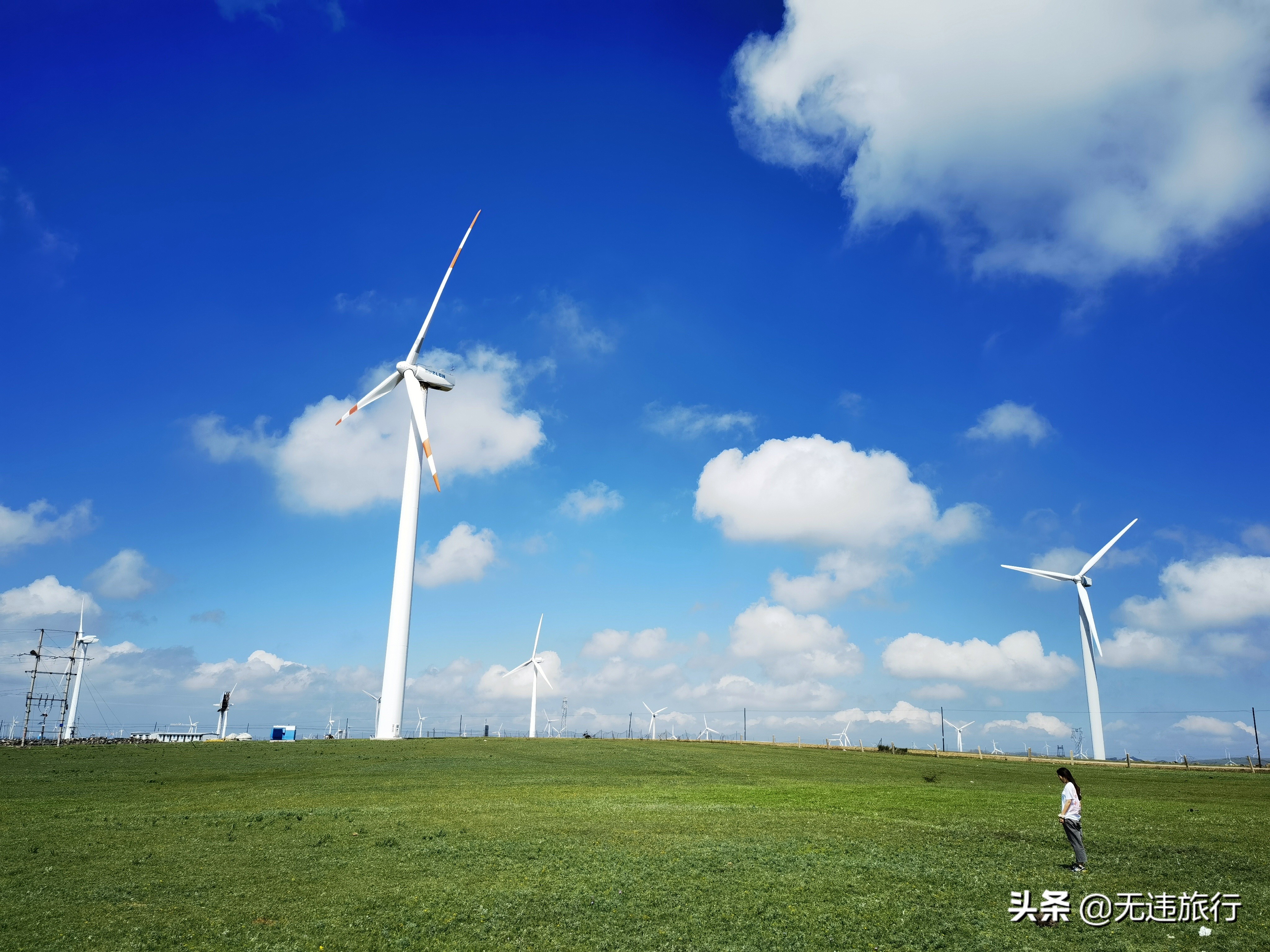 辉腾锡勒草原黄花沟游玩时长,辉腾锡勒草原黄花沟见闻