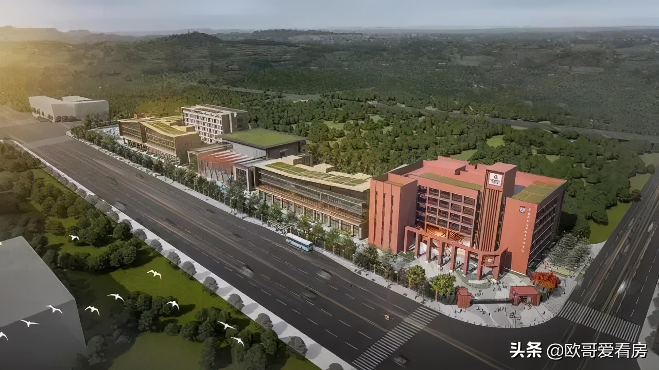 惠州仲恺区以后发展怎么样,仲恺区2020年gdp