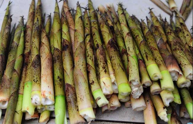 竹笋刮油,新鲜竹笋怎么做好吃又简单