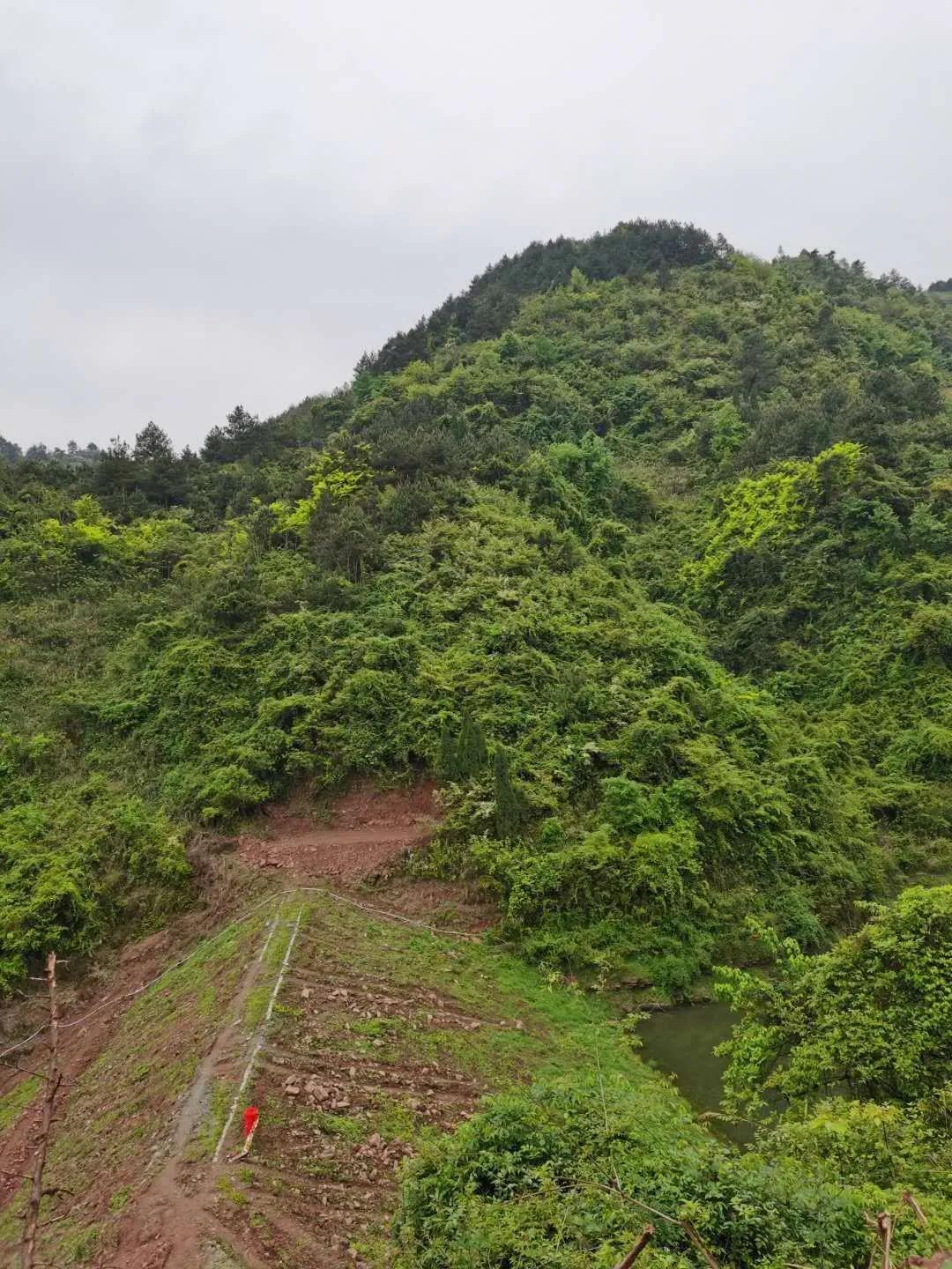 深切怀念敬爱的祖父祖母,看望我的祖母