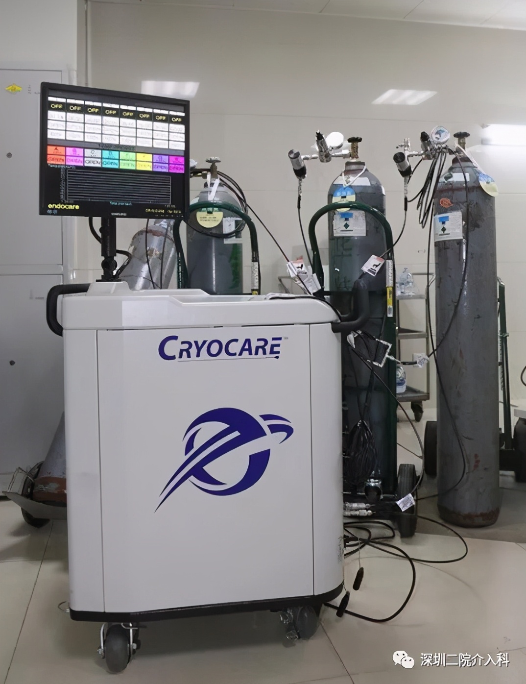 冰雕细琢流光溢彩,冰雕刺身雕刻