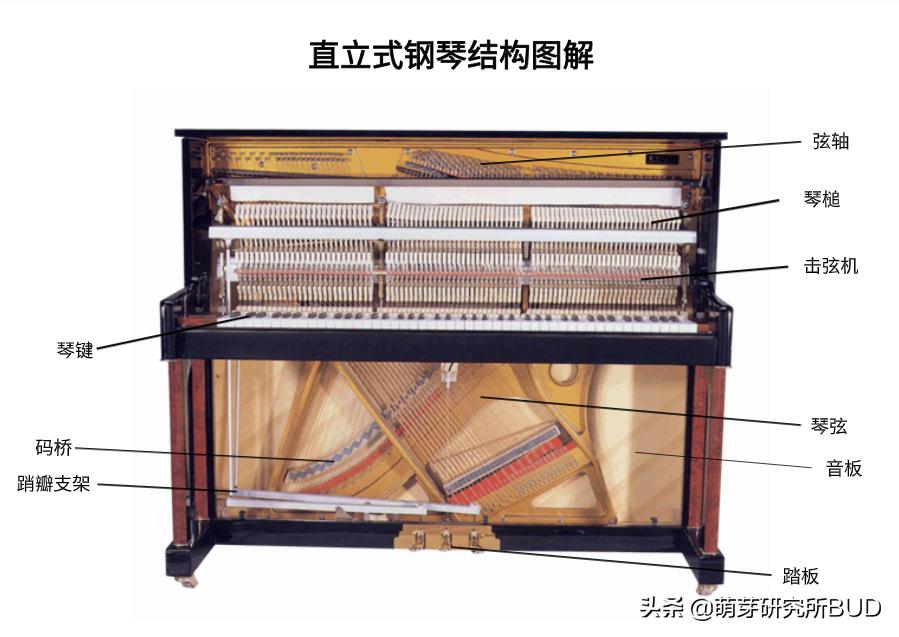 高端钢琴如何挑选,怎么挑钢琴品牌呢