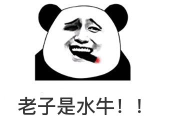 最强大脑王昱珩清华毕业后不上班,王昱珩上学经历