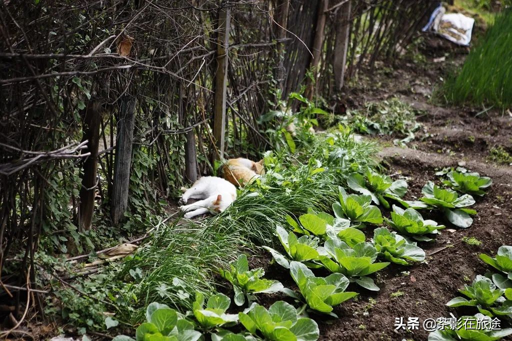 西太行十二景,自驾南太行深度攻略图