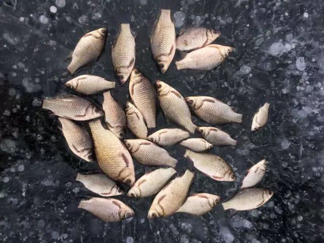 冬季冰钓钓深还是钓浅,冬季冰钓如何找鱼窝