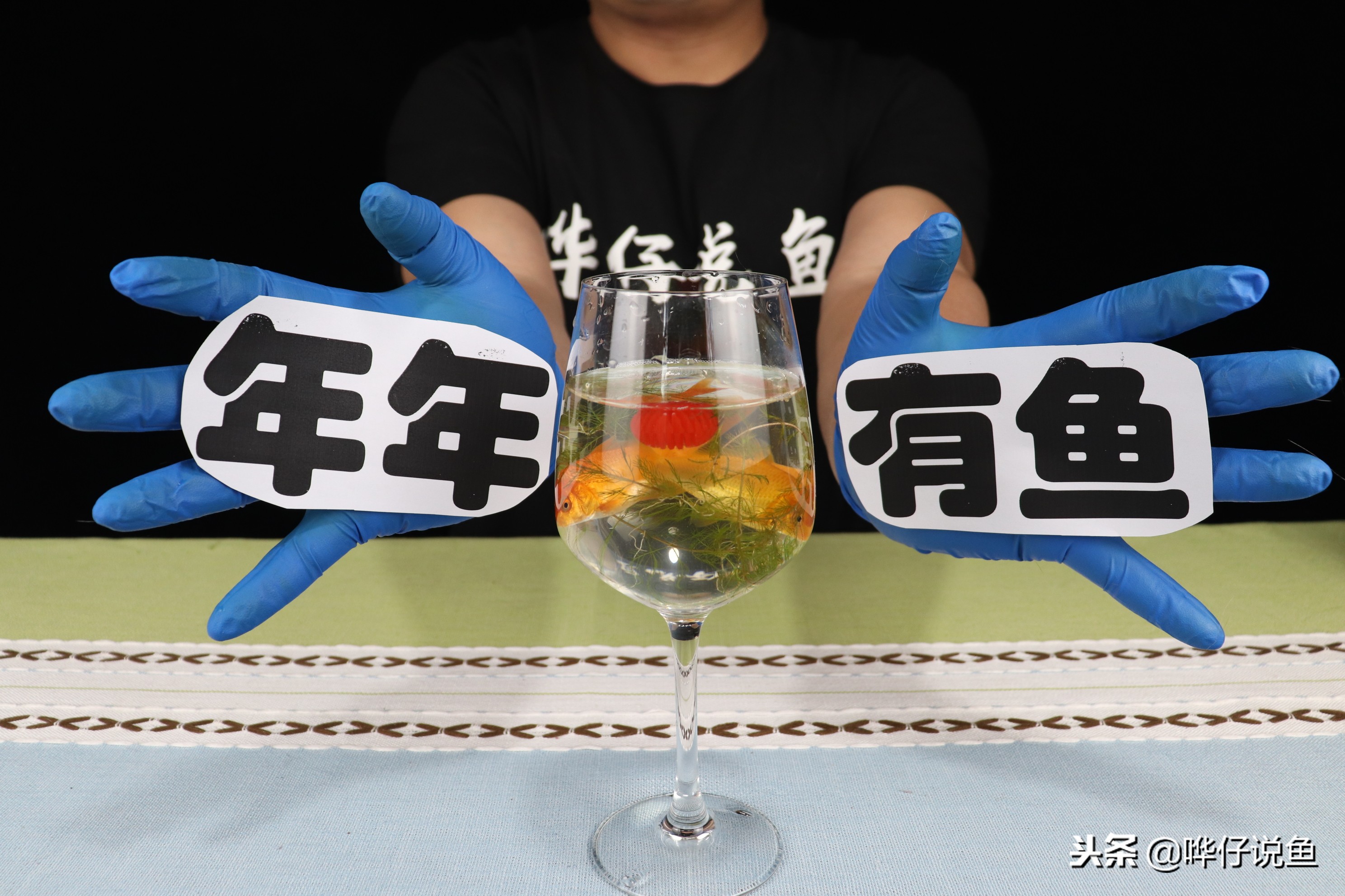 养观赏鱼怕什么虫子咬死,观赏鱼养鱼知识必备大全