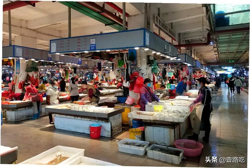 北海|报告！没遇到传销组织，只有吃不尽的海鲜美食