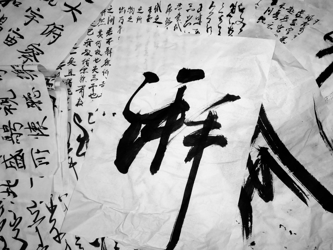 在森林书店的日子,在森林里看书的女孩