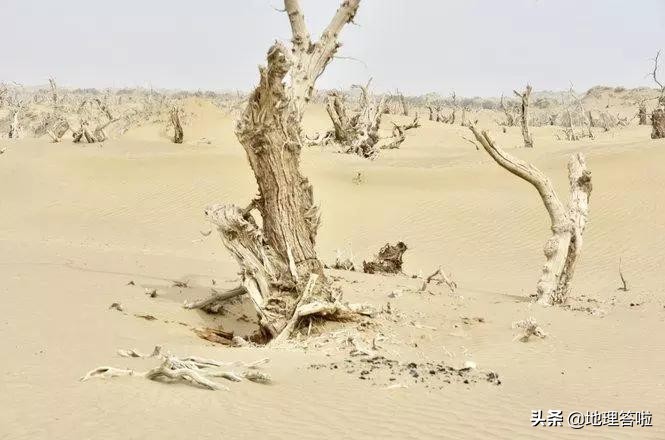 南疆印象三岔口,南疆印象系列简介