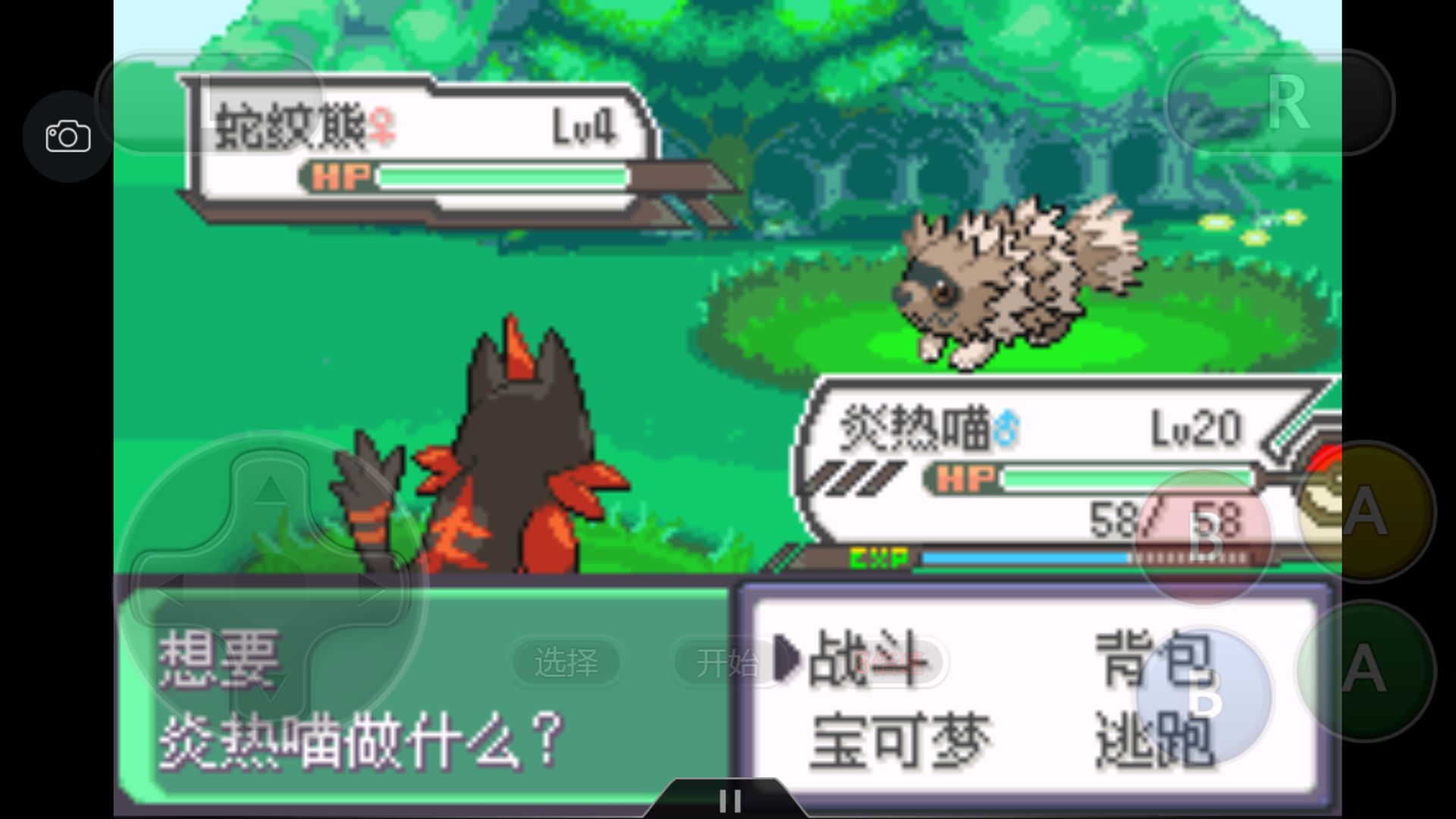 口袋妖怪之究极绿宝石攻略三周目,究极绿宝石3一周目完整图文攻略