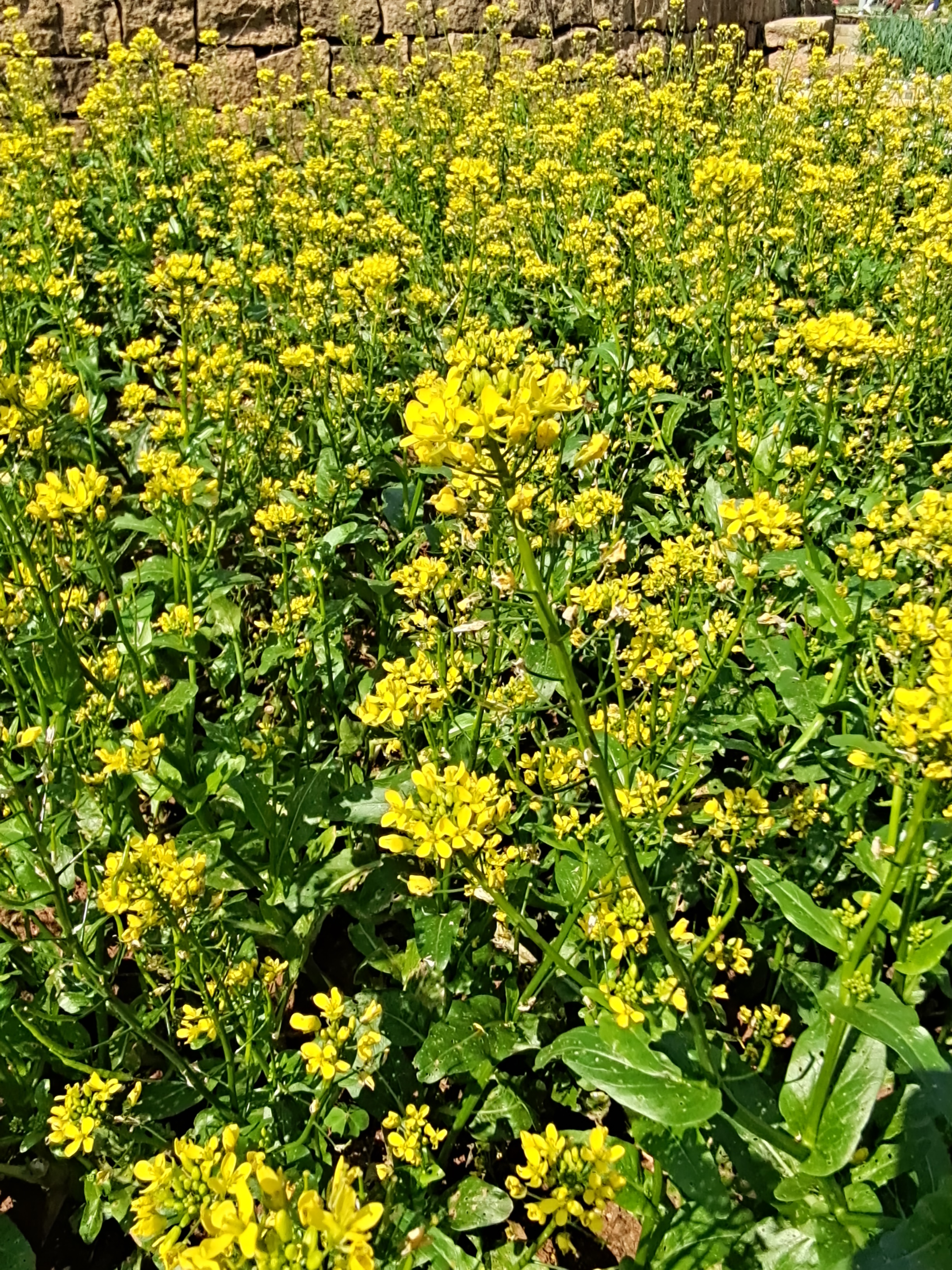 广州儿童公园成亲子乐园,2019广州儿童公园