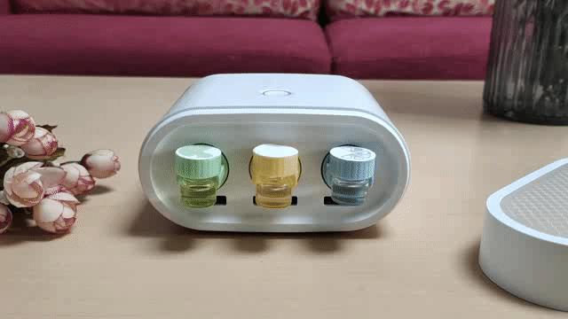 房间有酸臭味怎么快速散味,屋里空气不流通有异味有什么妙招