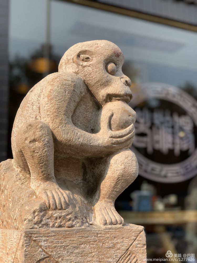 涧西牡丹广场老照片,洛阳牡丹手机拍照