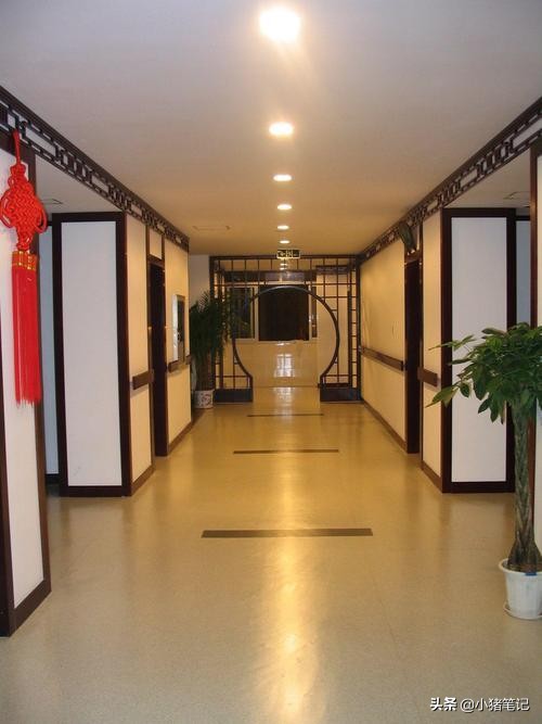 硬pvc塑胶地板是什么材料,pvc胶地板是什么材料做成的