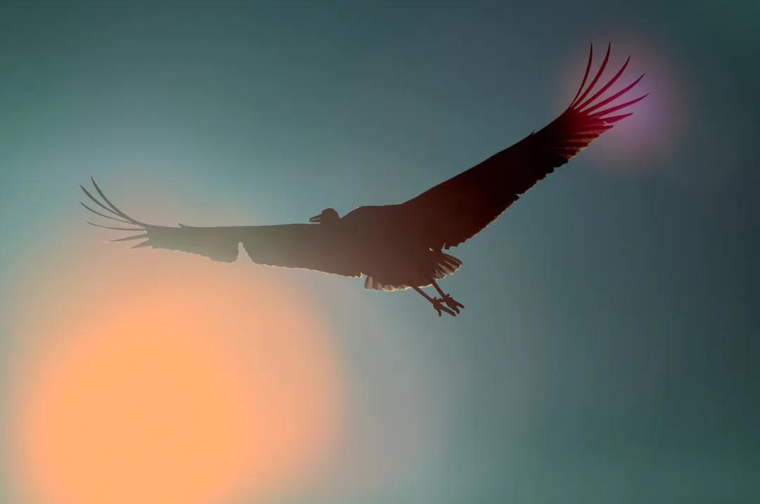 香港第14届全国摄影艺术展,第29届全国摄影艺术展览获奖名单