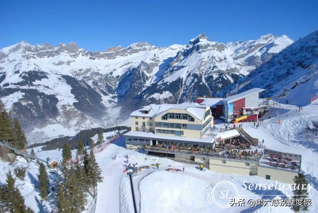 中国天才少女入籍韩国为韩国夺冠,归化的滑雪天才少女