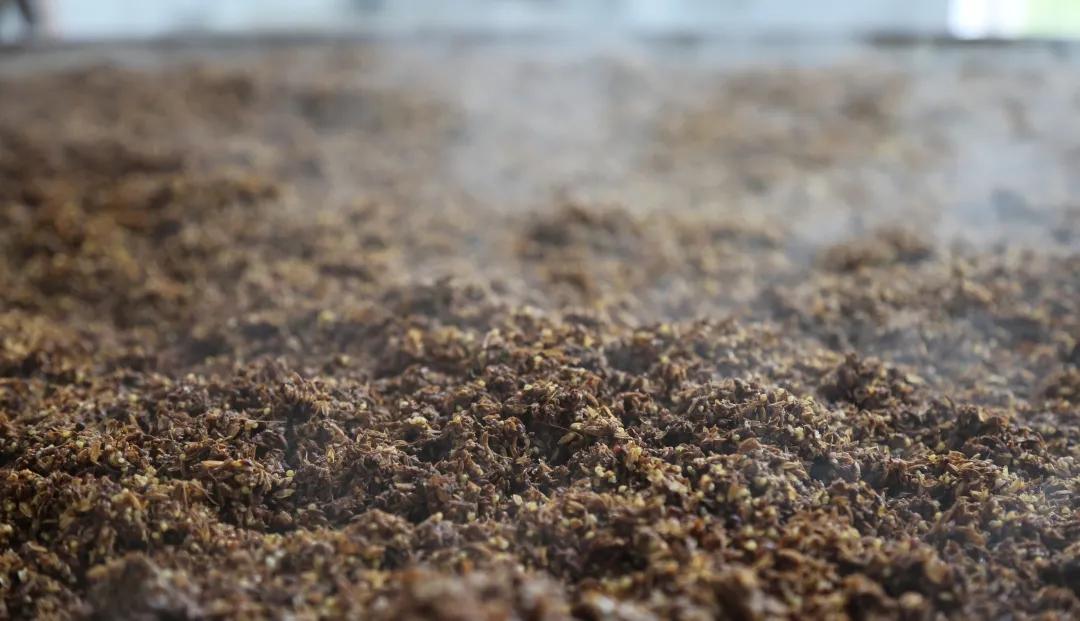 白酒各种香气说法,白酒那些事儿完整版