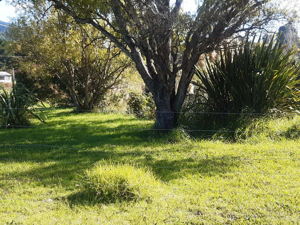 100万人民币在新西兰,100万在新西兰能买到什么车