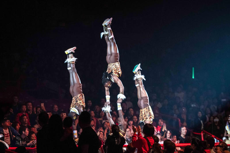 广州长隆野生动物世界旅游攻略,长隆野生动物世界攻略2-3天广州游