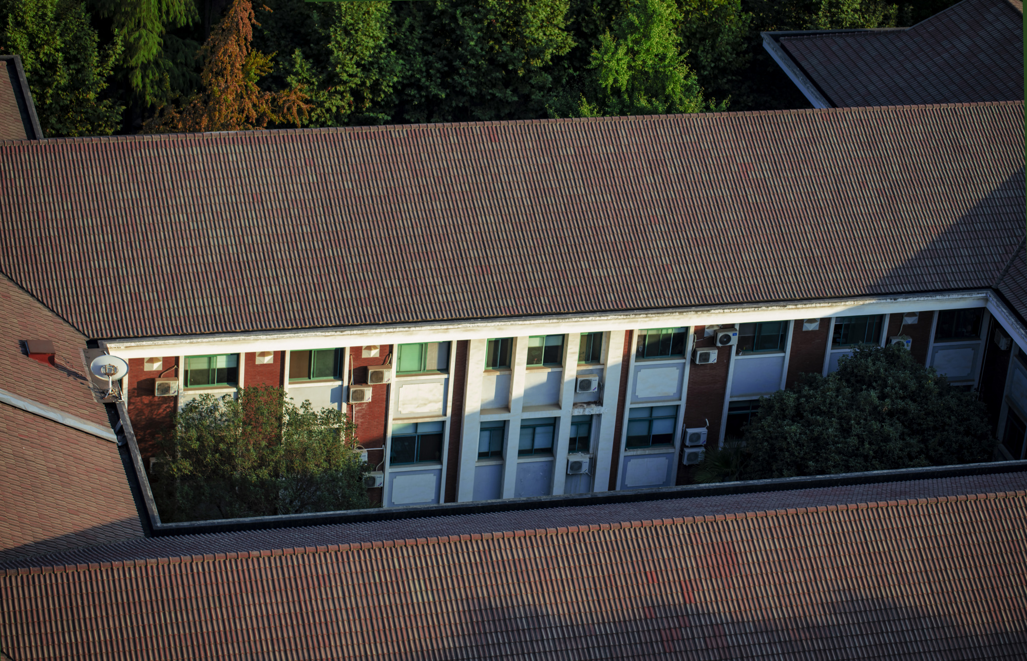 电影反哺摄影——老北京拍湖北大学（二）