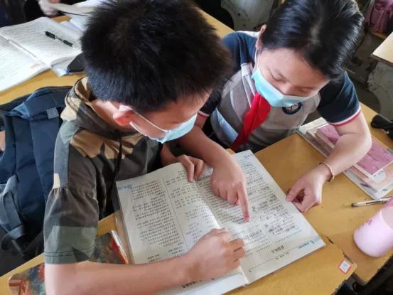 「喜讯」今日的果实，昨日的汗水——城厢区东海中心小学蔡妍同学喜获教育部第十四届宋庆龄奖学金