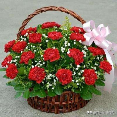 520简短浪漫花语是什么,520朵玫瑰的浪漫花语