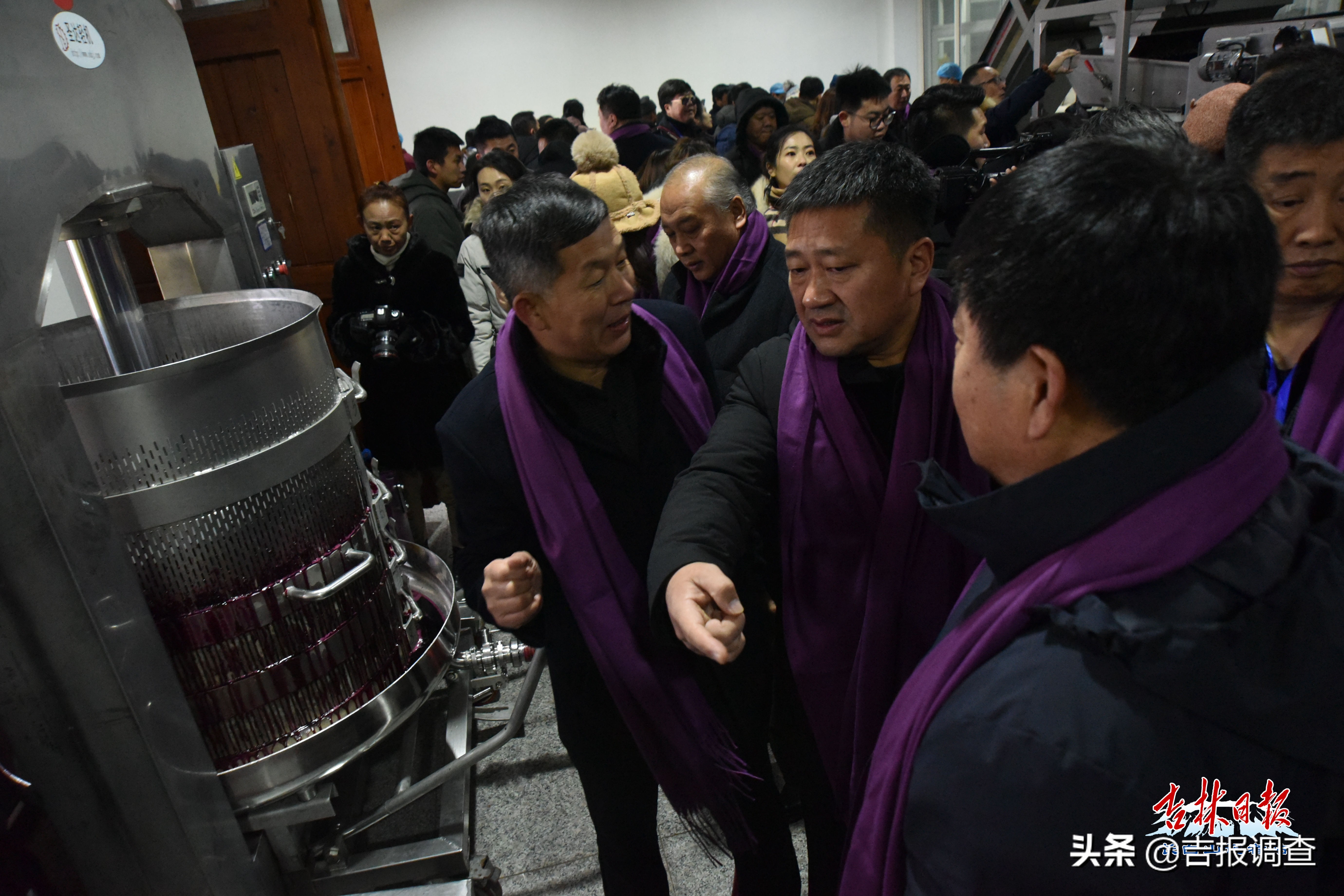 集安鸭江谷冰葡萄,集安鸭江谷冰葡萄怎么样