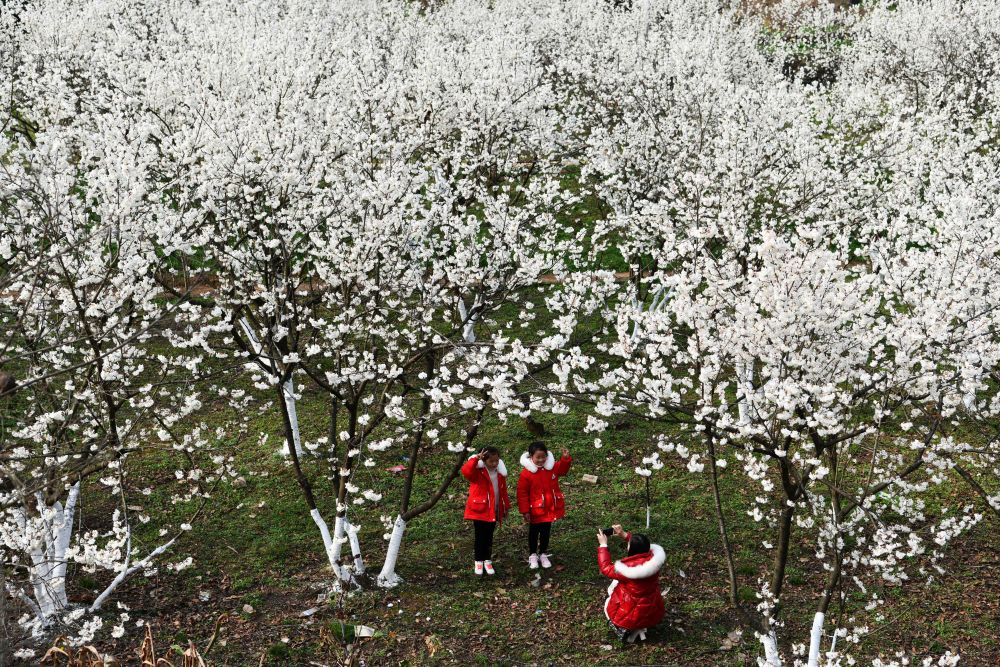 彪炳史册的脱贫攻坚疫情防控,彪炳史册脱贫攻坚