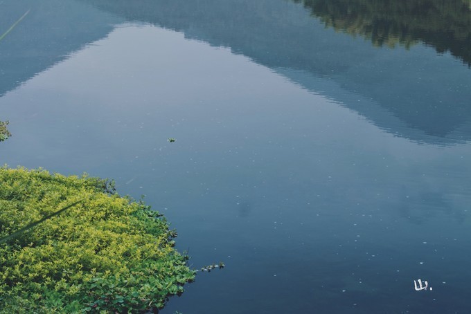 心中有桃花源何处都是山水间,心中若有桃花源何处是水云间