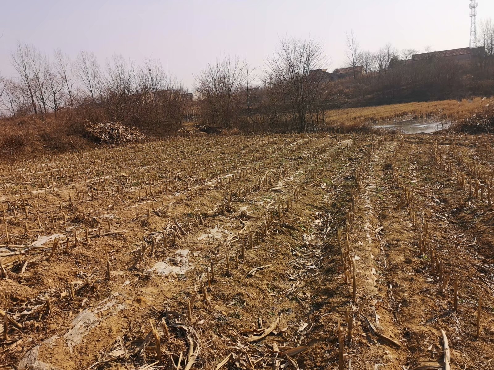 摩托附近风景,摩托打卡地附近