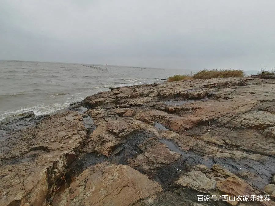 苏州西山网红打卡地樱花,苏州西山风景区有什么好玩的地方
