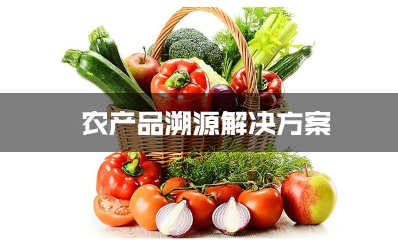 实现全生命周期管理,全生命周期数字化精准健康管理