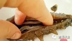 海参小米粥的做法孕妇食用,海参小米粥的做法月子