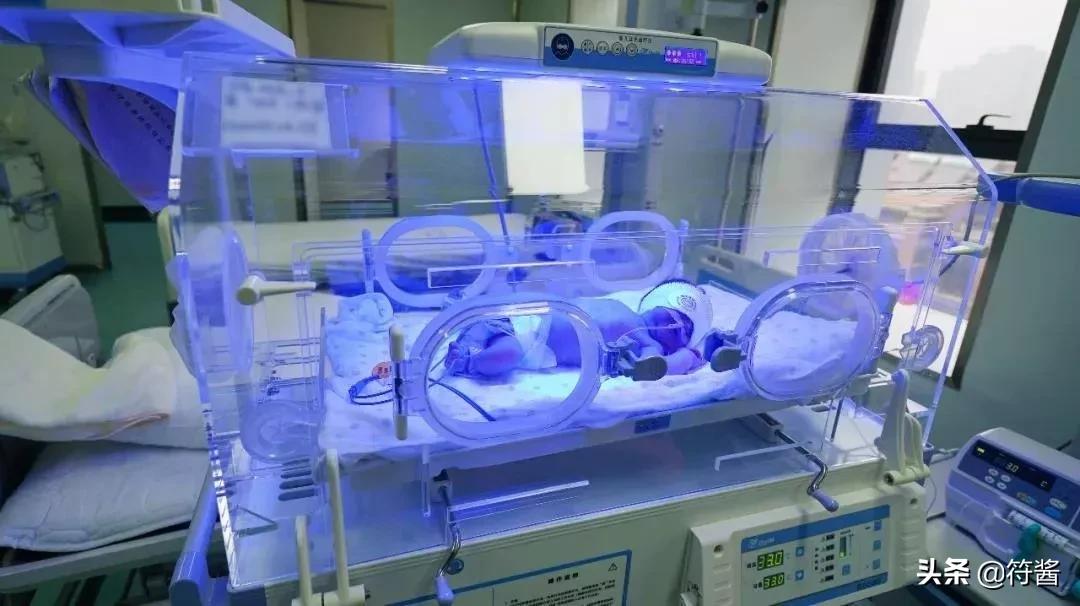 广州民办学校学费排名,广州民办九年制学校学费