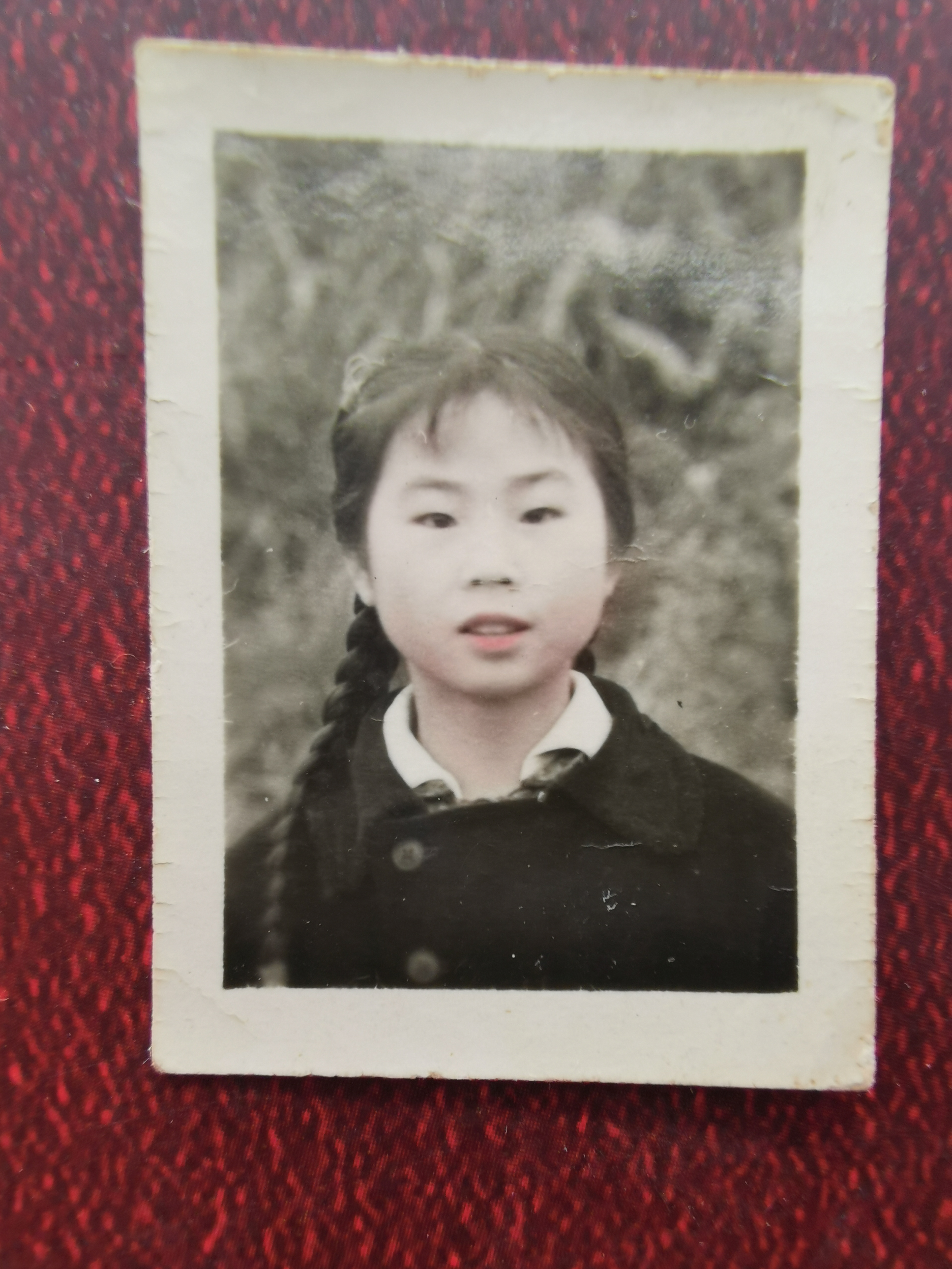 已走过的路无需回头看,已走过的路回不去