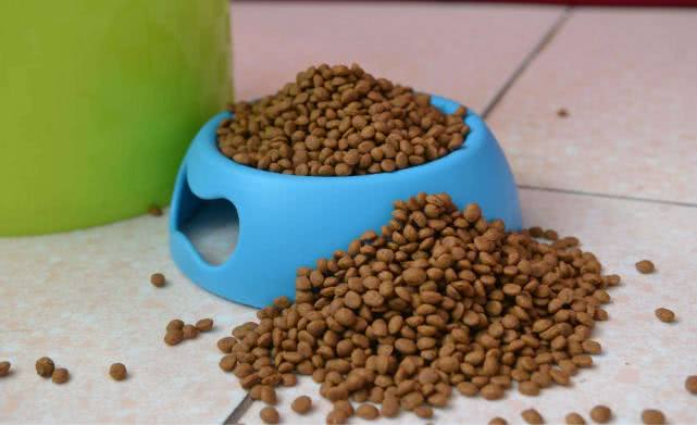 狗粮为什么有一股奇怪的味道,狗粮的味道竟然是如此甜美