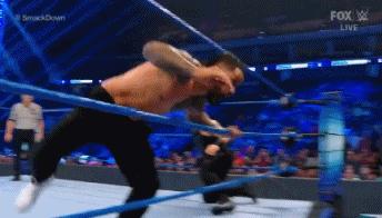 wwesd和raw所有选手,wwesd冠军腰带