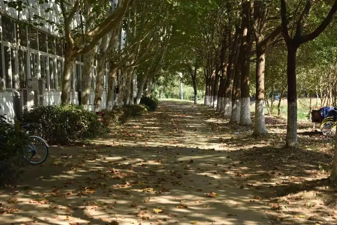 安徽13所一本大学名单,安徽省高校简介