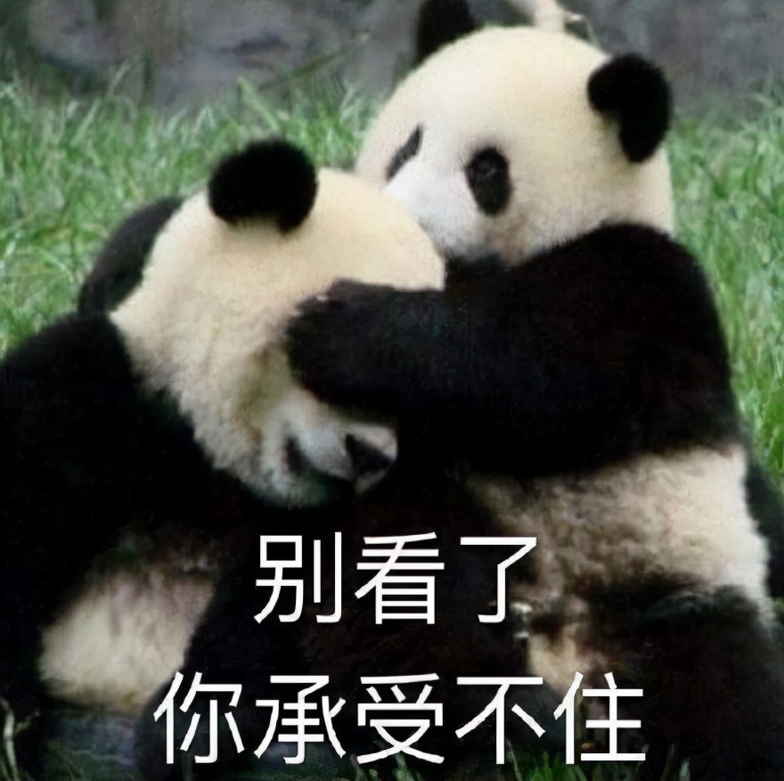 吐槽百度网盘的梗,百度网盘还有啥网盘好用