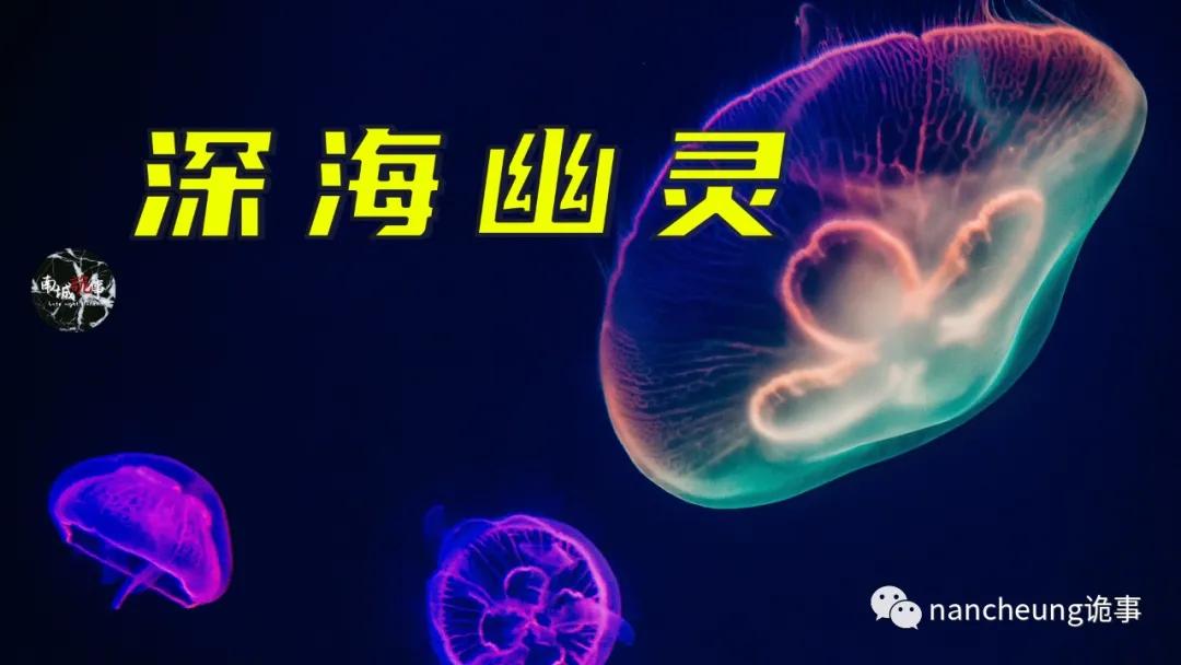 深海迷航第49天神秘生物,深海海底神秘的10种生物