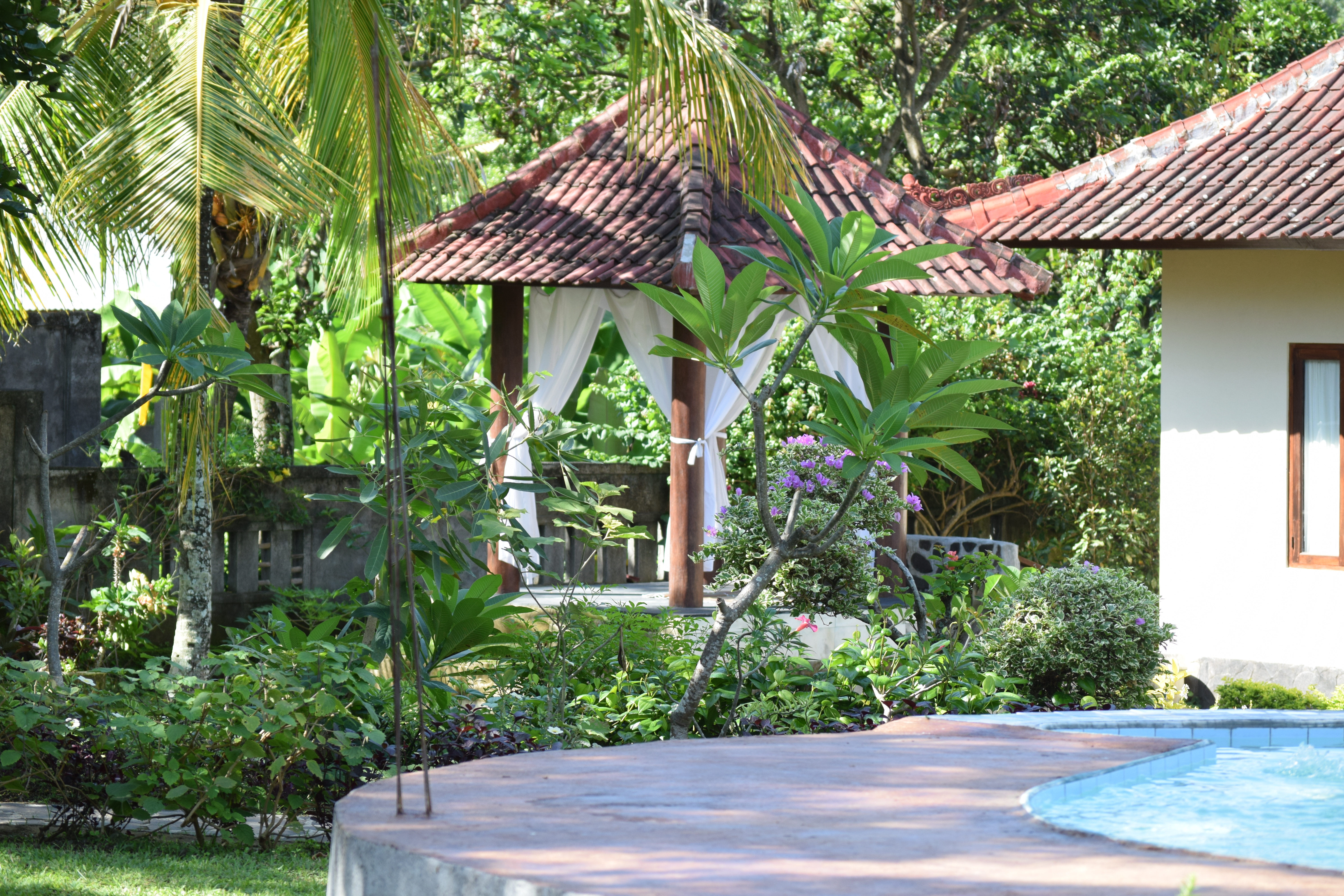 玩转巴厘岛攻略大全,巴厘岛值得去和不值得去