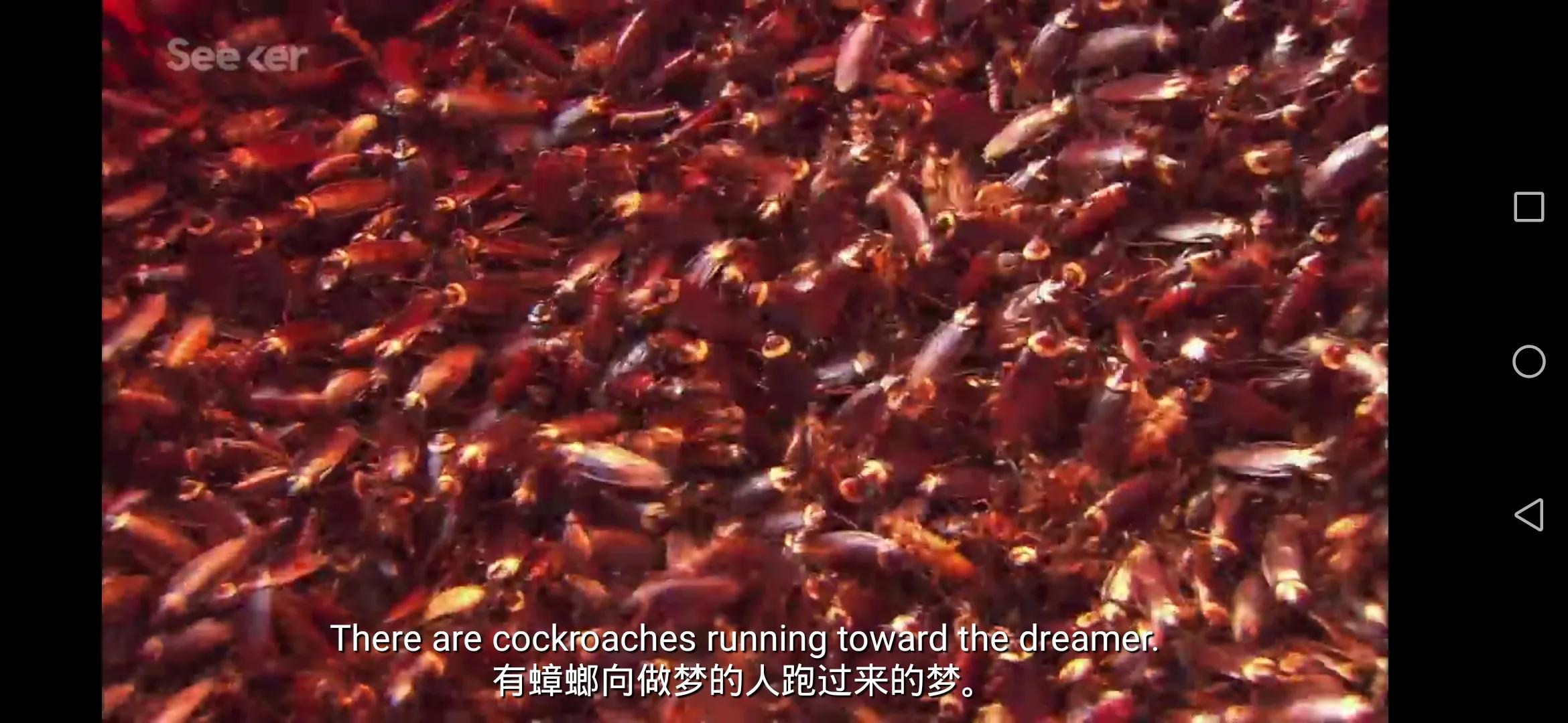 疫情期间你有做过奇奇怪怪的梦吗？