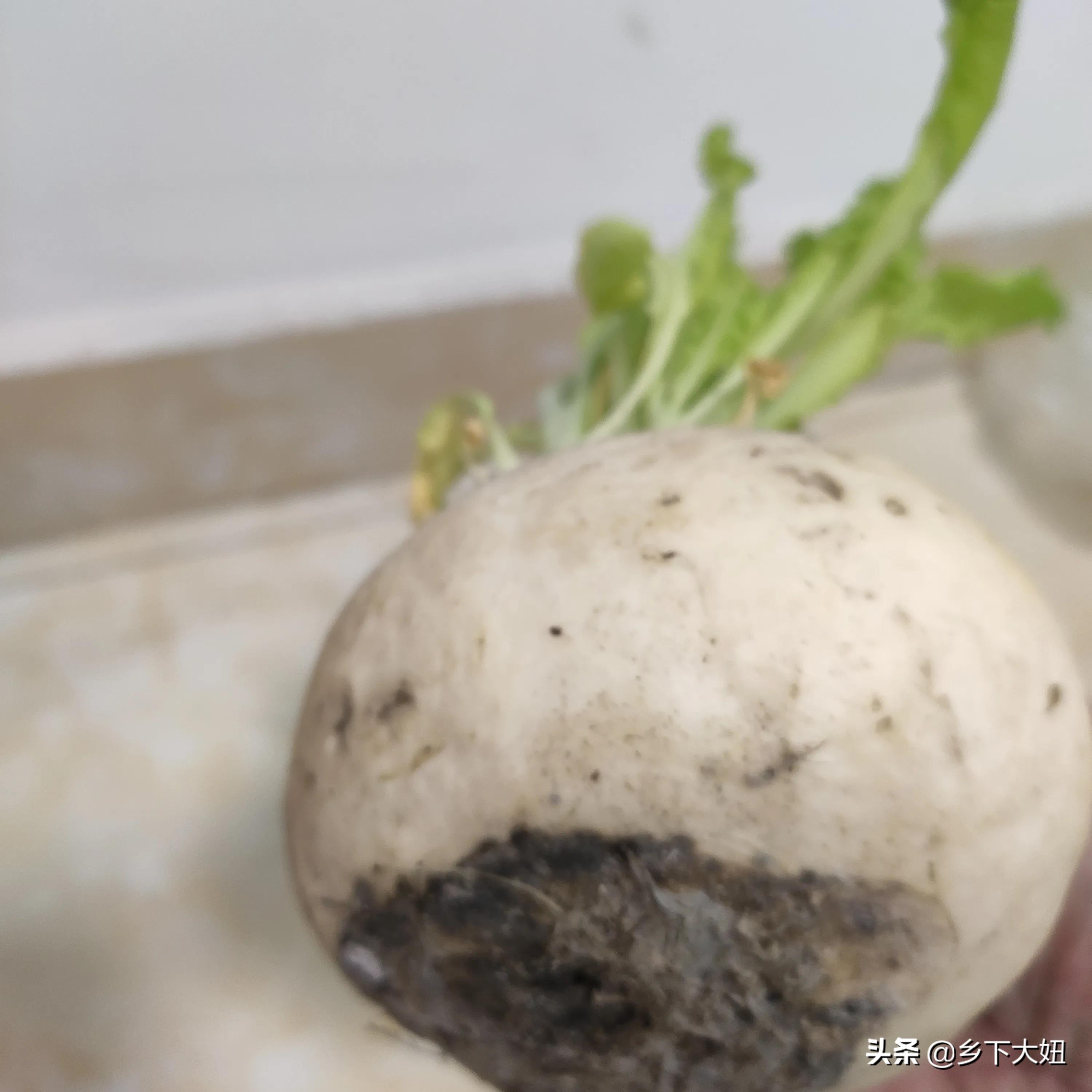 花开富贵好运来心想事成发大财,花开富贵财运亨通时来运转